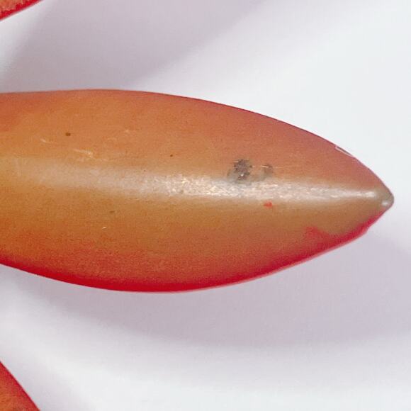 Vintage 1960s Brooch Red Green Enamel Flower  Mid Century Mod Retro Kitschy Pin - Picture 9 of 13